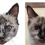 Embroidery Digitizing