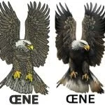 Embroidery Digitizing